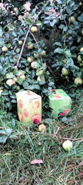 Ansicht Bags